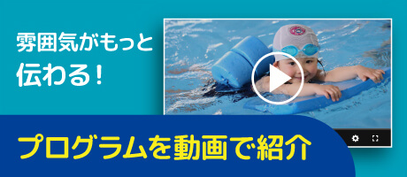 プログラムを動画で紹介