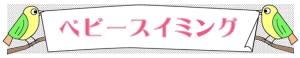 名称未設定 1のコピー