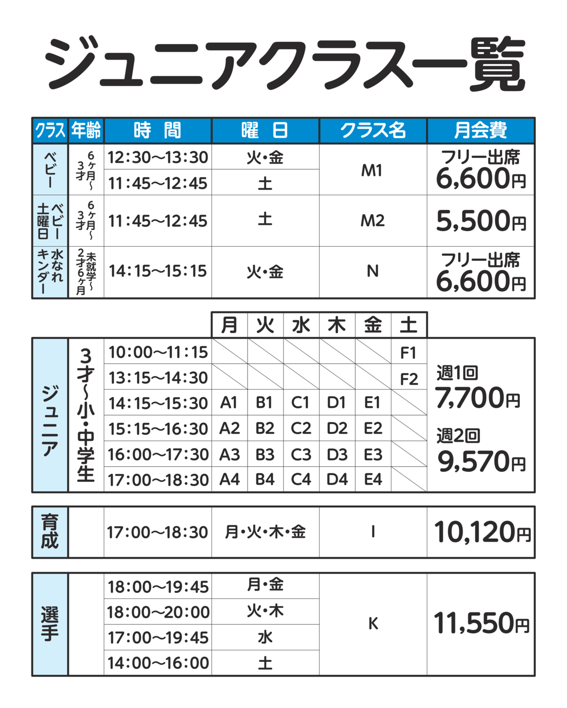 プログラム概要と料金画像