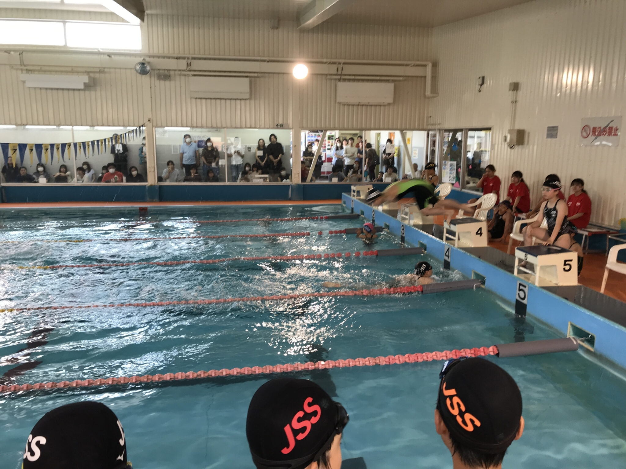大会に参加してきました！春季ジュニアチャンピオンシップ | JSS秋田スイミングスクール