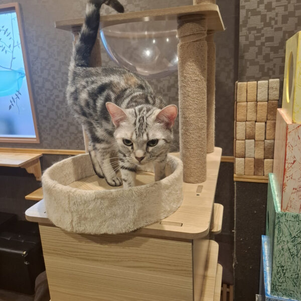 戸田コーチの休日 画像