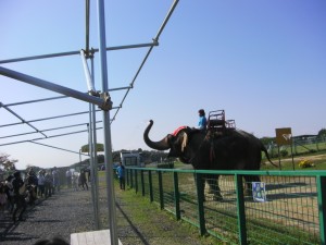 SANY0047