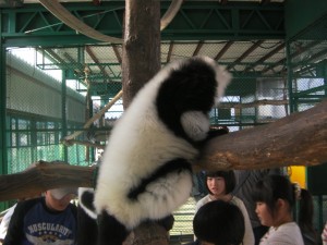 SANY0069