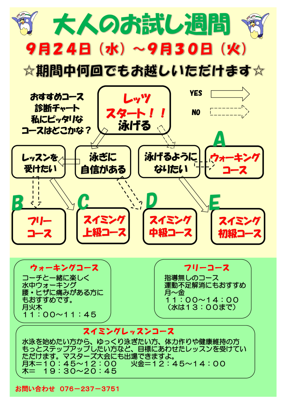 大人お試し202509