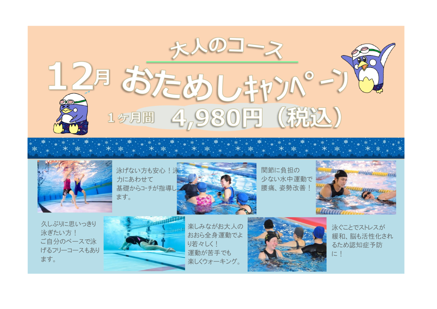 202512大人お試し