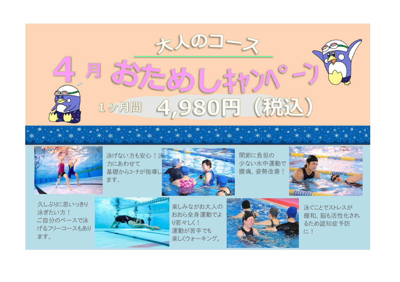 大人お試し202604