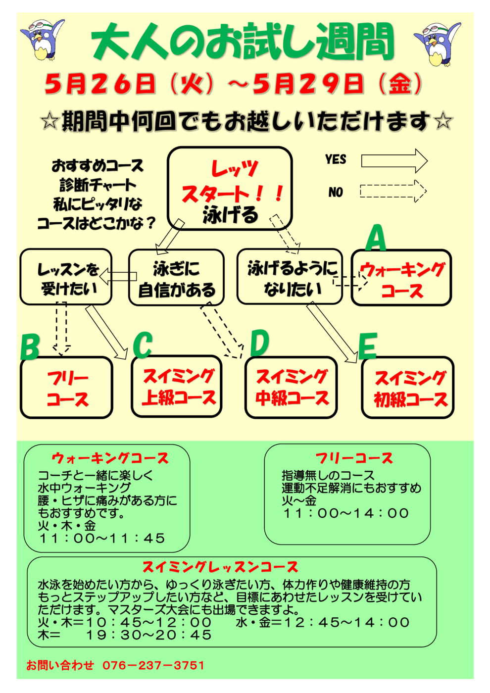 202605大人お試し