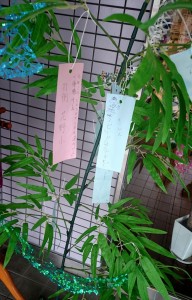 2015-06-26-09-34-23_deco
