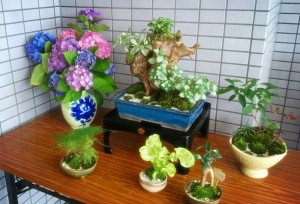 2015-06-26-09-35-55_deco