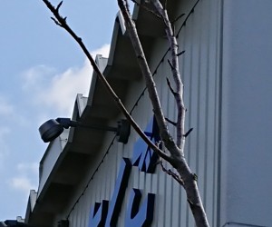 18-01-06-13-15-22-349_deco