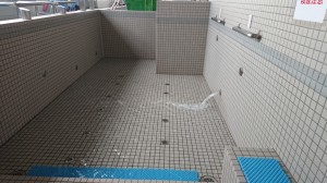 DSC_1388[1]