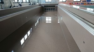 DSC_1390[1]