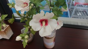 DSC_1693[1]