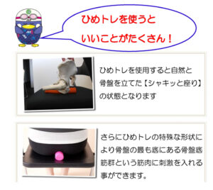 骨盤底筋2のサムネイル