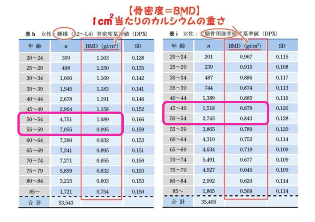 骨密度基準値のサムネイル