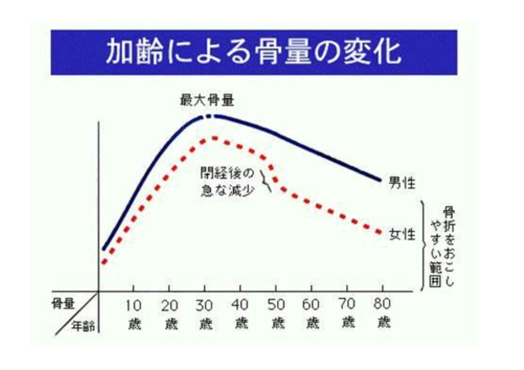 加齢による骨量の変化1のサムネイル