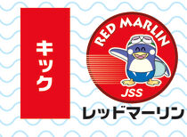 JSSグループ進級基準表2017_A1のサムネイル