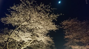 DSC_0350