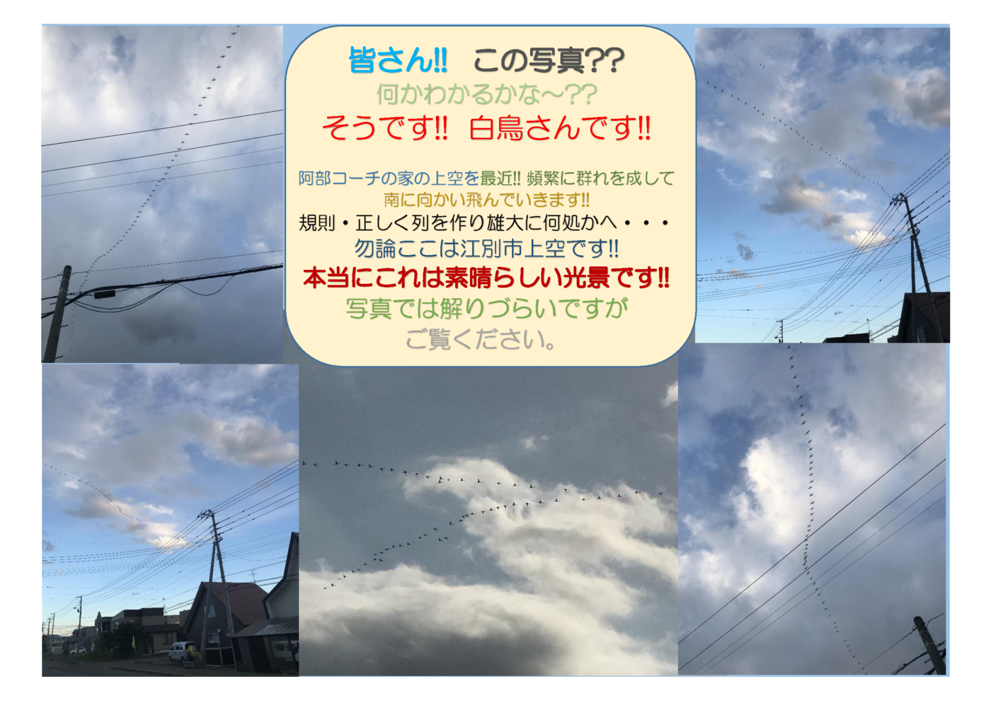 201019ブログ原稿