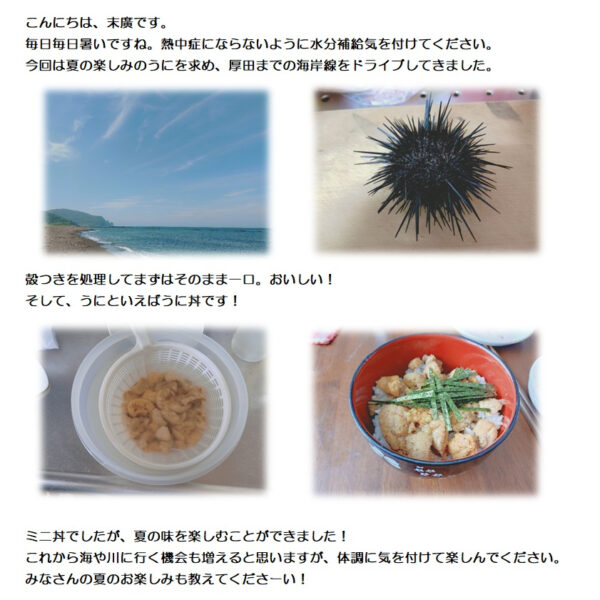 夏のお楽しみ 画像