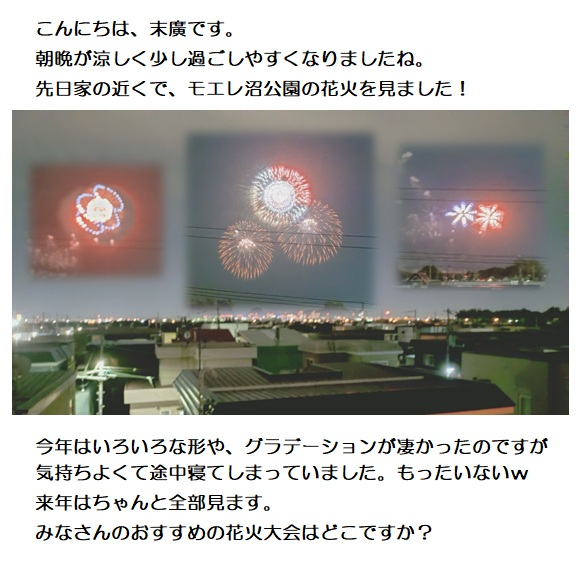 花火大会 画像