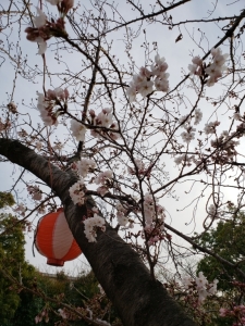 20190329_164914