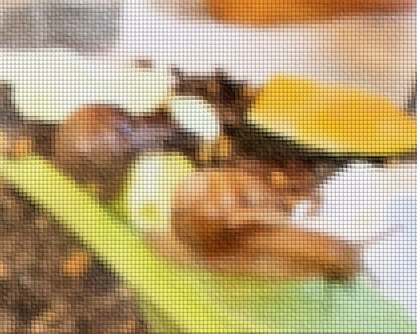 我が家のいきもの紹介 画像