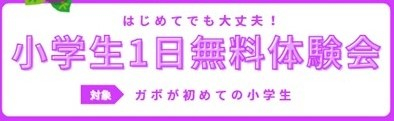 JSSガボスイミングスクール イメージ画像