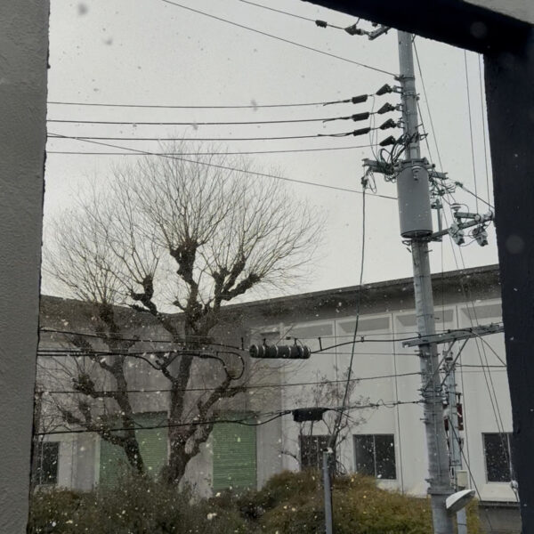 進級テストが始まります！！ 画像