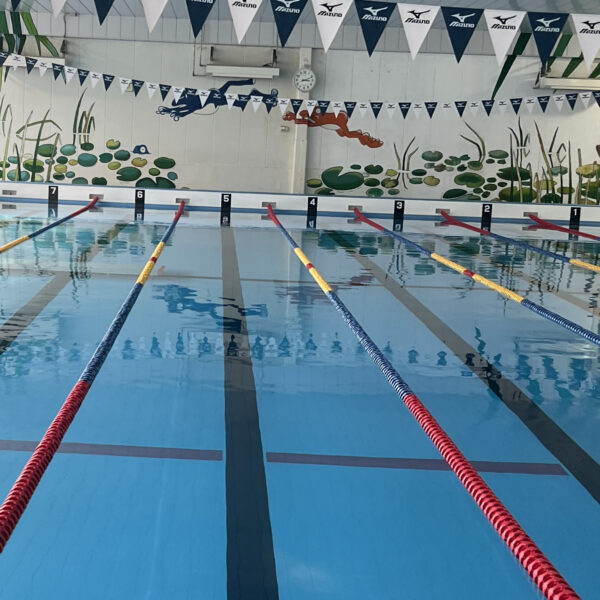 コースロープ新しくなりました 画像