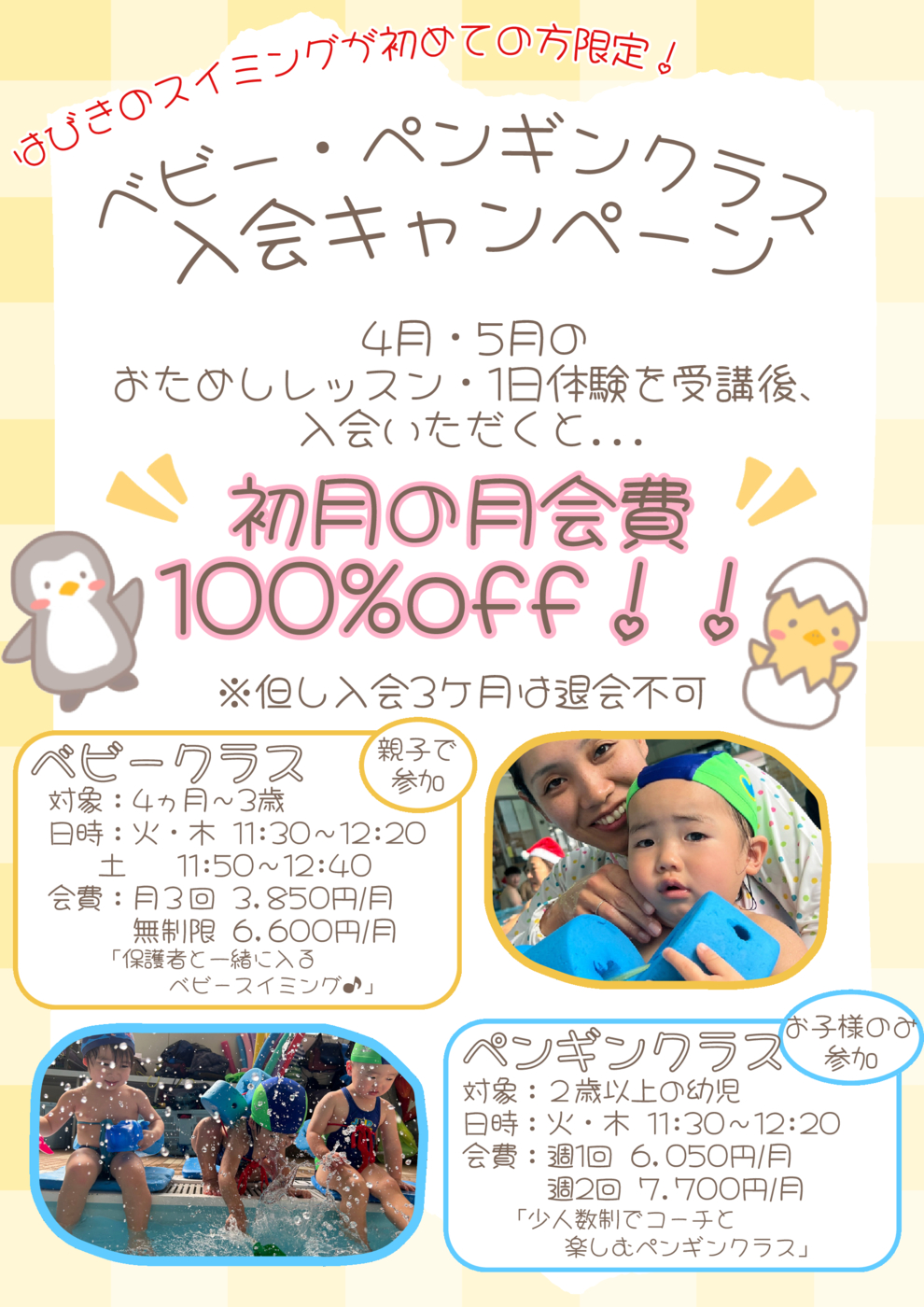 ベビーペンギンキャンペーン