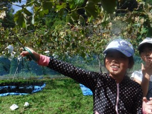 DSCF8964[1]