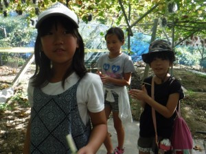 DSCF9035[1]