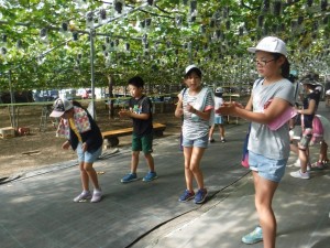 DSCF9037[1]
