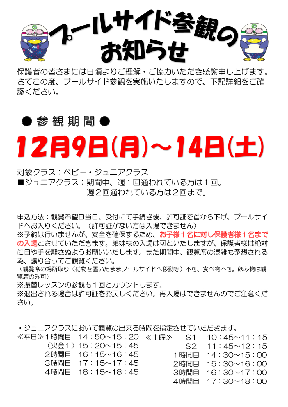 プールサイド参観2024のサムネイル