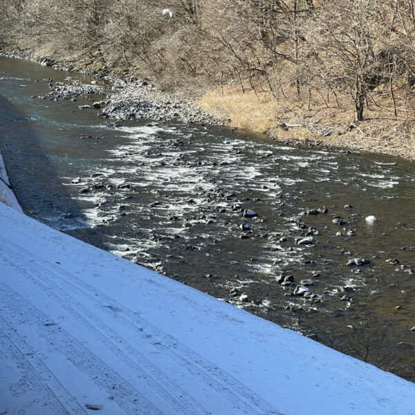 年始まりに🗾🚗💨 画像