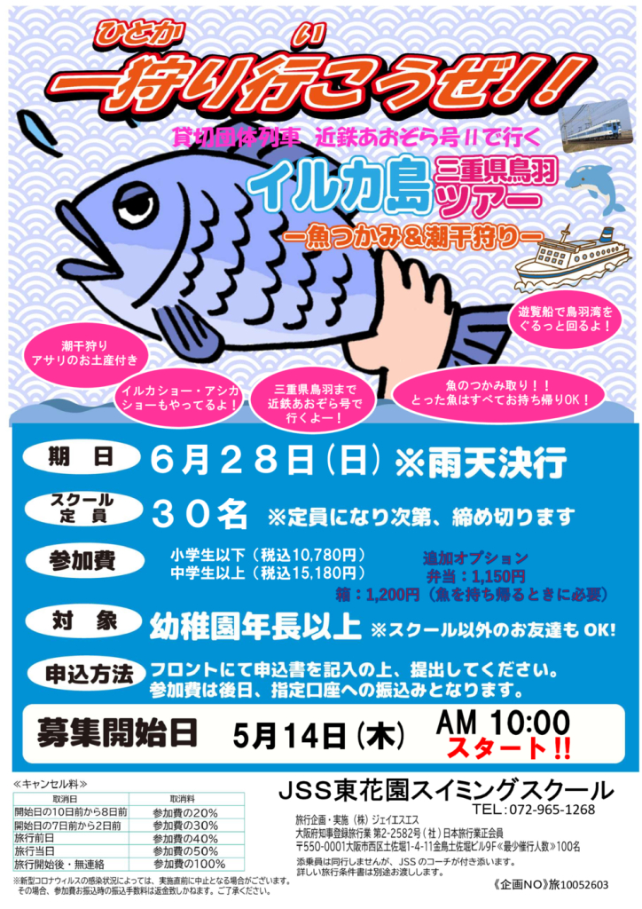 イルカ島②のサムネイル