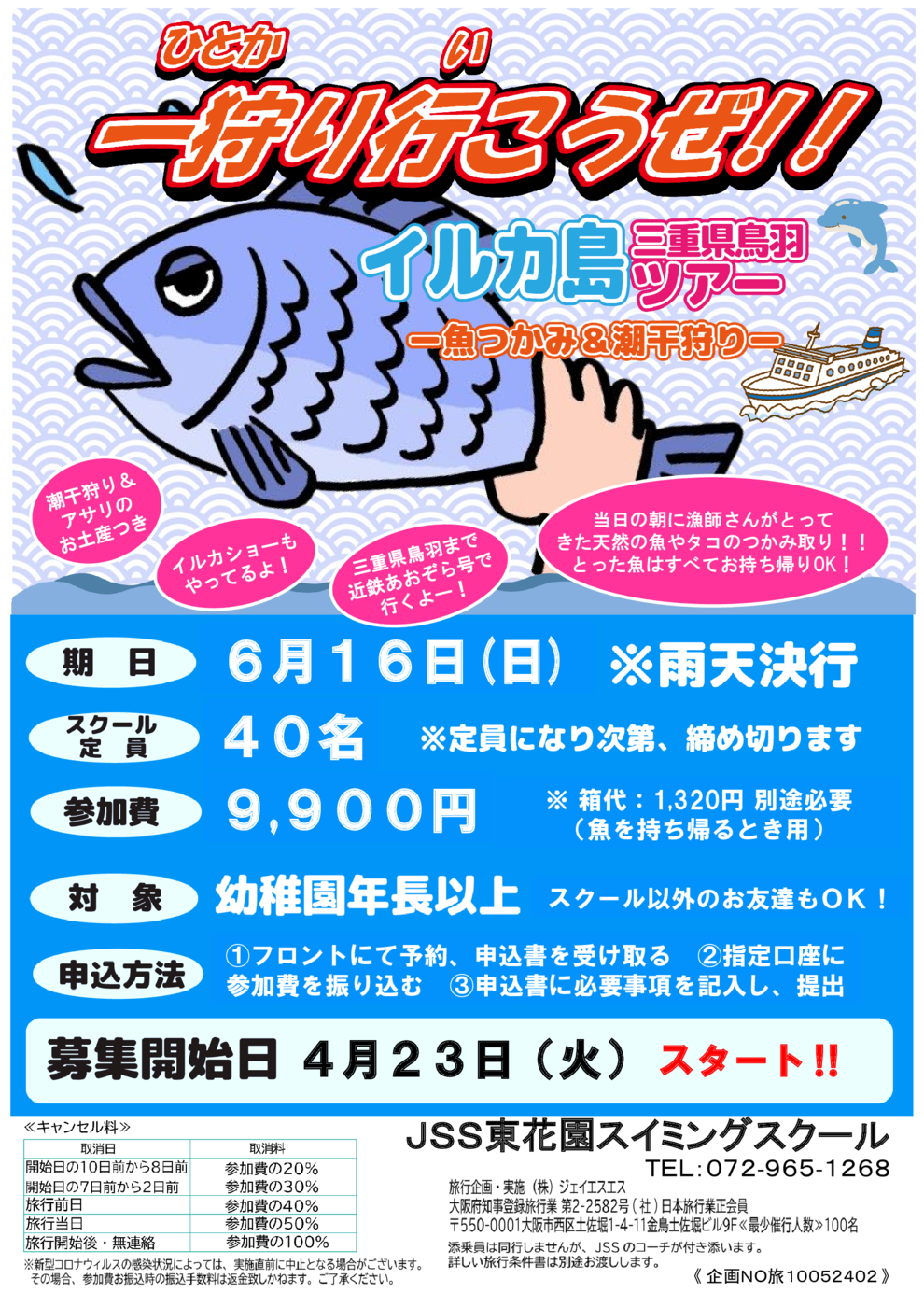 イルカ島 チラシ