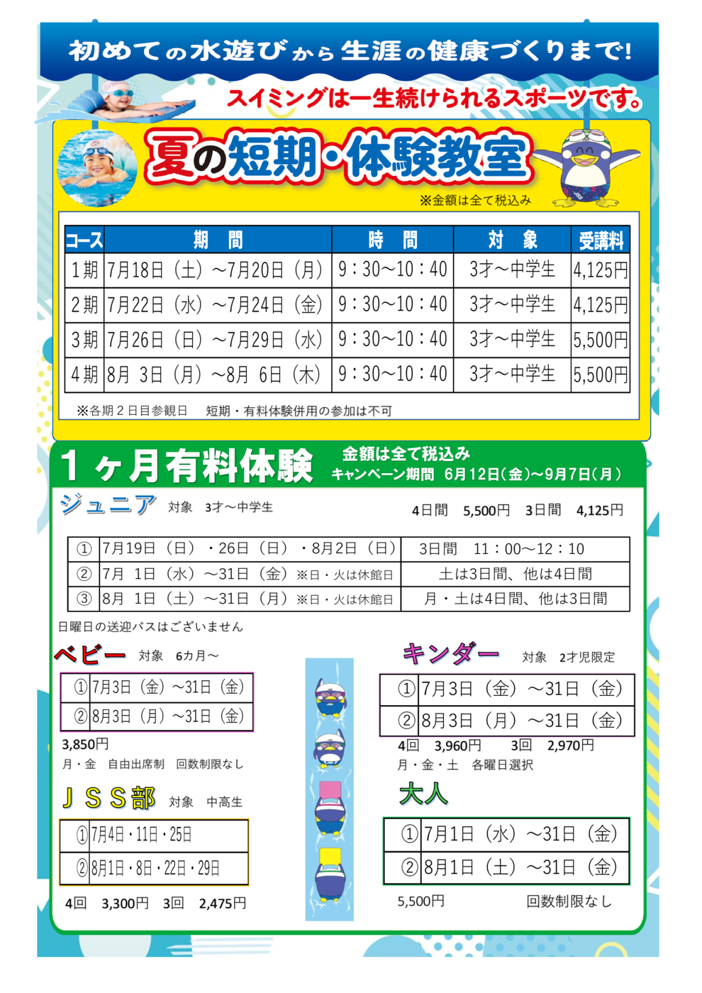 ちらし(裏面)