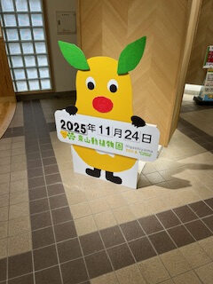 ☆紅葉見てきました☆ 画像