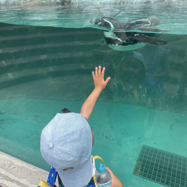 家族で動物園に～ 画像
