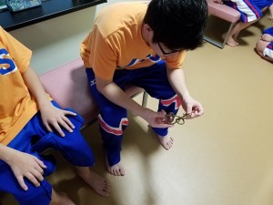 知恵の輪2