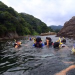 シュノーケル中
