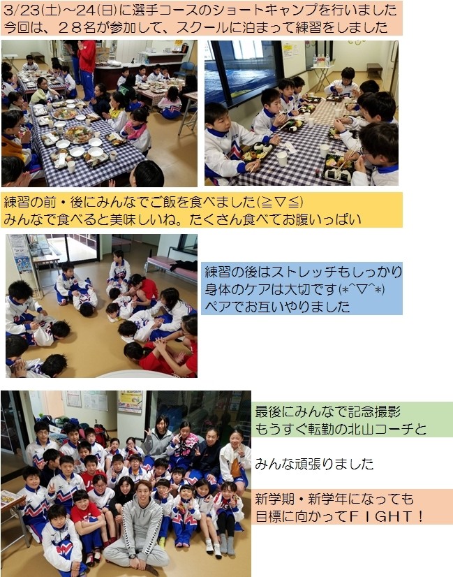 ショートキャンプ