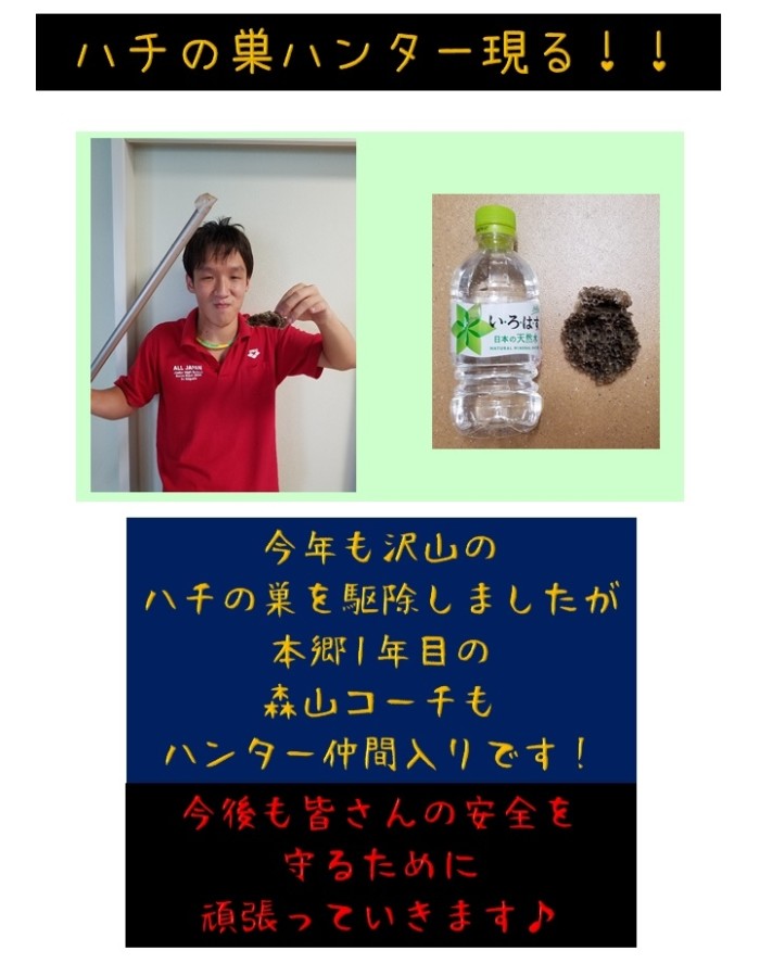 ハチの巣駆除