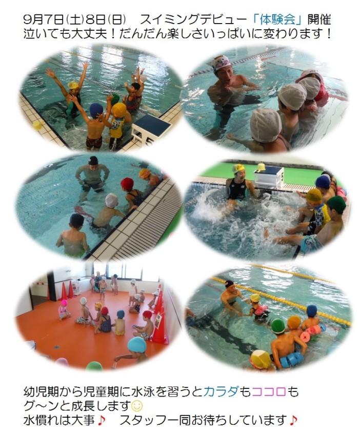 体験会