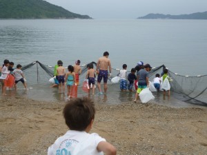 17.イルカ島 (252)