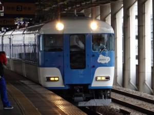 17.イルカ島 (17)
