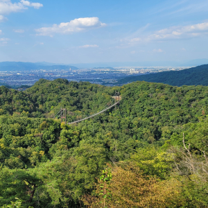 星田園地にある吊り橋の写真