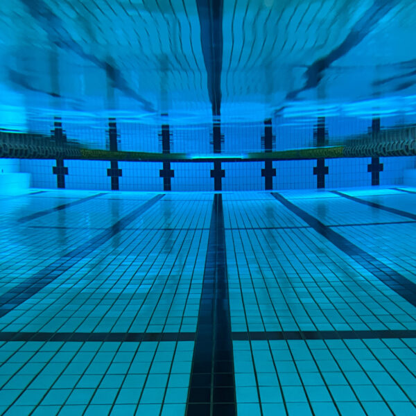 【定期】水曜日の水質【11/26】 画像